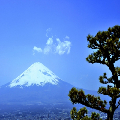 The 9th Asia-Pacific Steel and Raw Materials International Conference